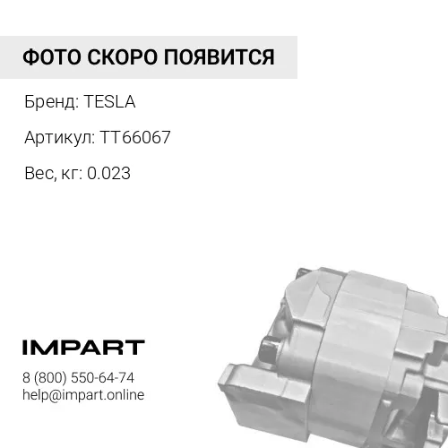TT66067 Шестерня TESLA 