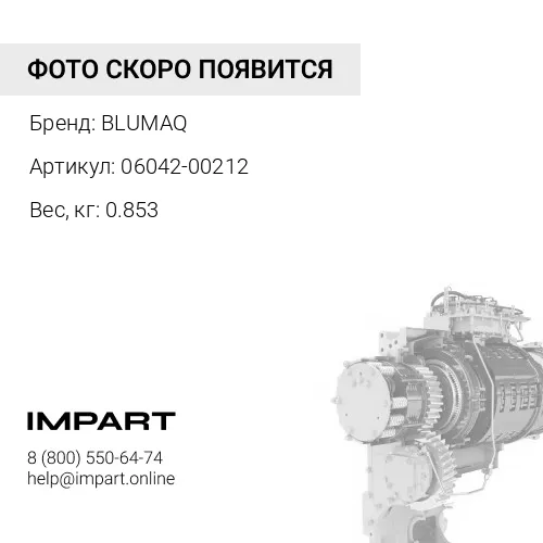 06042-00212 Подшипник BLUMAQ