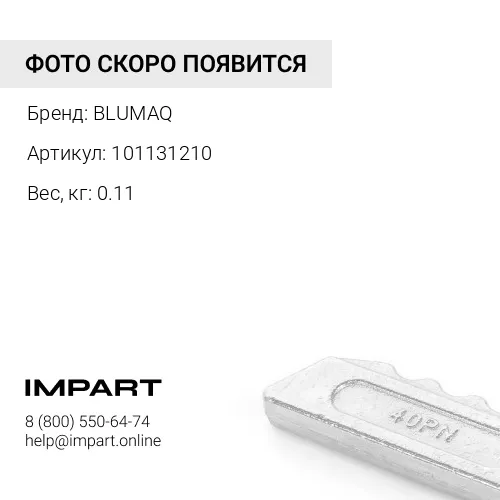 101131210 Болт