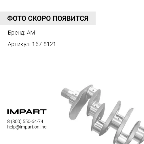 167-8121 Демпфер коленвала 167-8121 AM