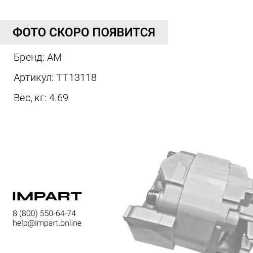 TT13118 Генератор TT13118
