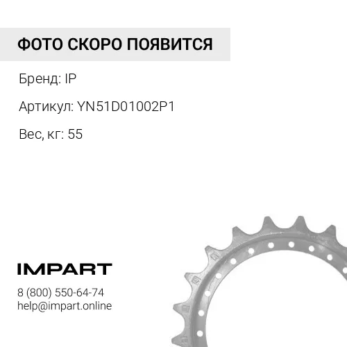 YN51D01002P1-JC ЗВЕЗДОЧКА Z = 21 IP