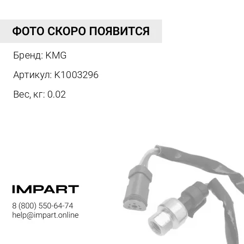 K1003296 Датчик KMG