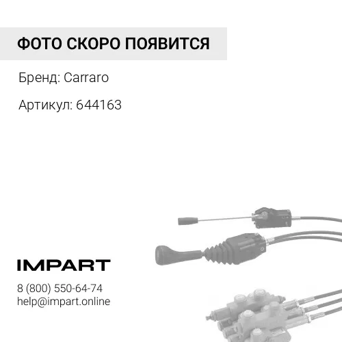 644163 Шкворень верхний Carraro