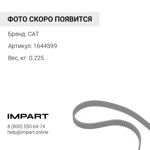 1644599 Ремень