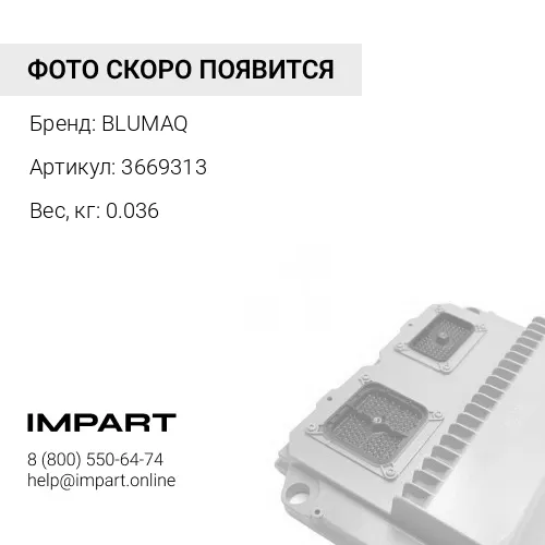 3669313 Жгут проводов
