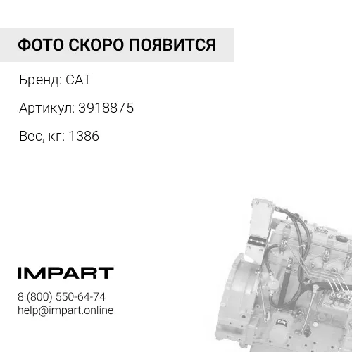 3918875 Двигатель в сборе