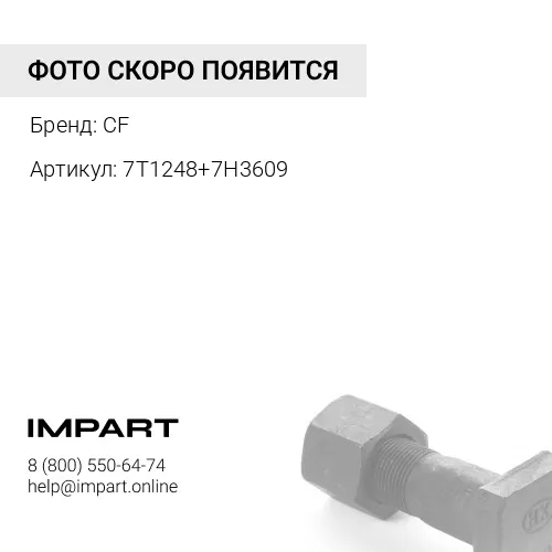 7T1248+7H3609 Комплект болт+гайка D9