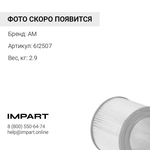 6I2507 Фильтр воздушный