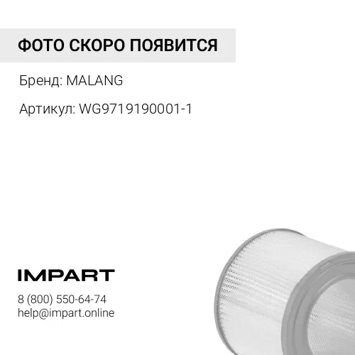 WG9719190001-1 Фильтр воздушный 3046 Malang MALANG