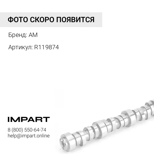 R119874 Втулка распредвала AM