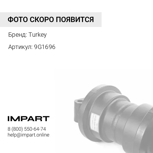 9G1696 Подушка Turkey