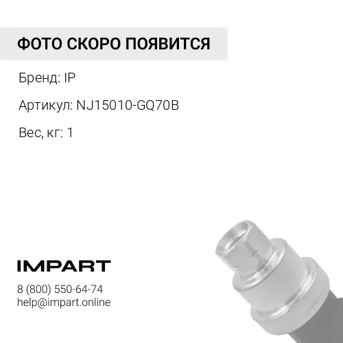 NJ15010-GQ70B МАСЛЯНЫЙ НАСОС В СБОРЕ IP