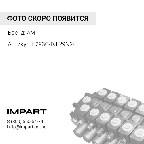 F293G4XE29N24 Гидронасос главный AM
