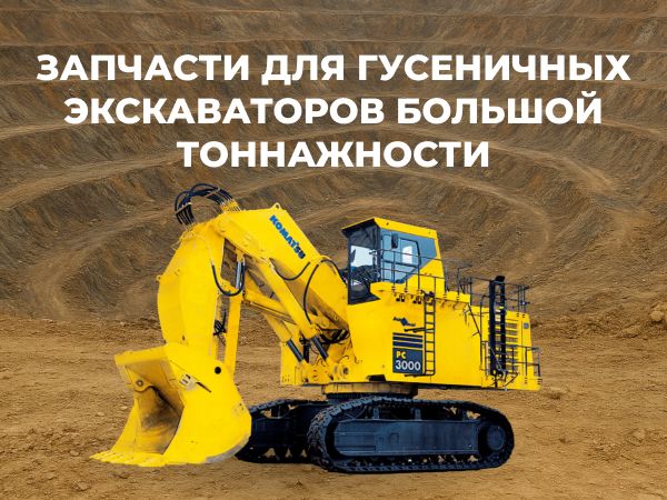 Запчасти для гусеничных экскаваторов большой тоннажности