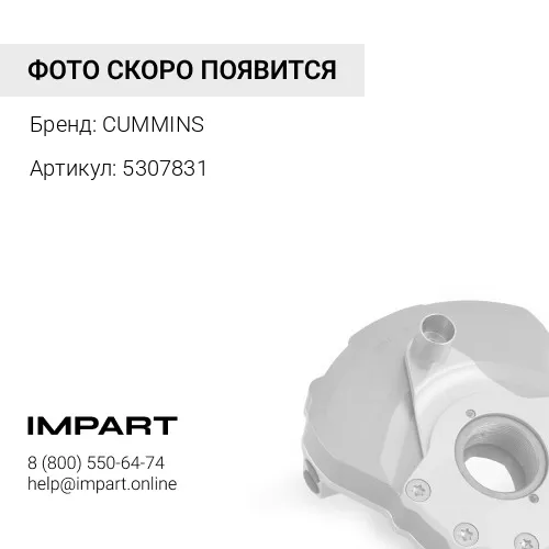 5307831 демфер