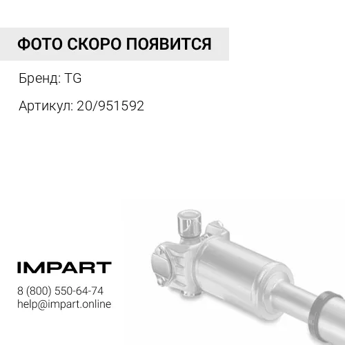 20/951592 Вал редуктора TG