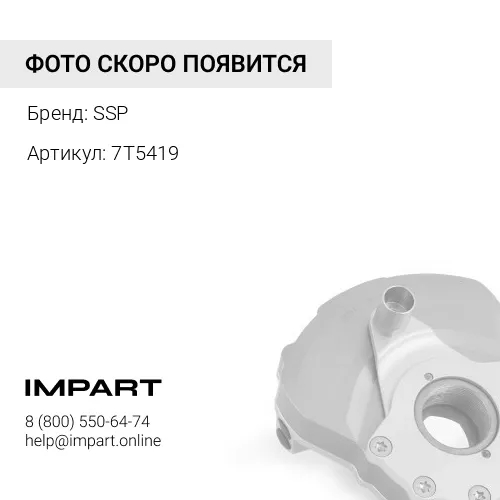 7T5419 Подушка