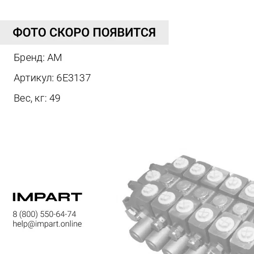6E3137 гидронасос AM