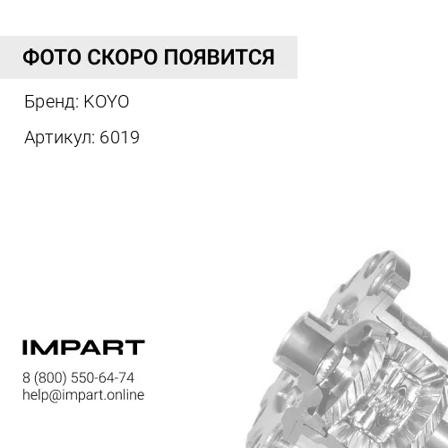 6019 6019_Подшипник 6019