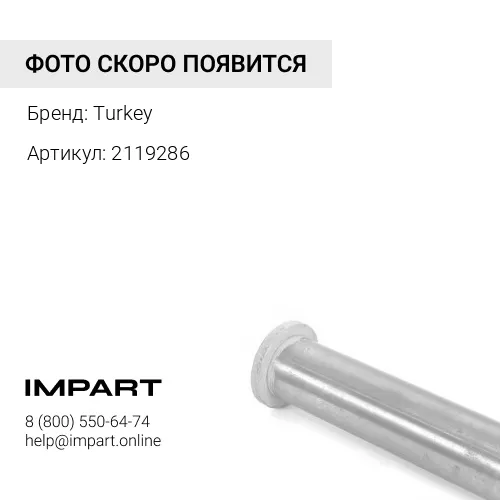 2119286 Палец Turkey