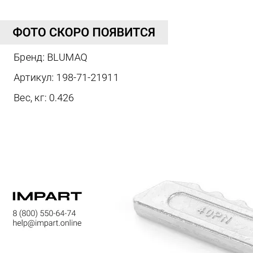 198-71-21911 Шестигранная гайка BLUMAQ