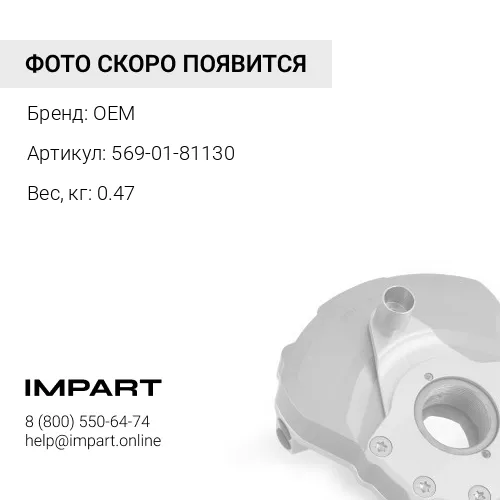 569-01-81130 подушка OEM