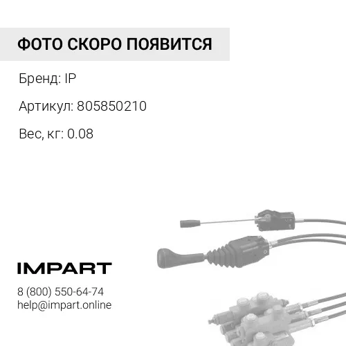 805850210 НАКОНЕЧНИК ШТОКА IP