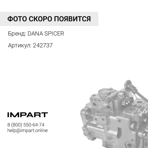 242737 Поршень DANA