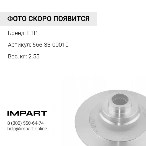 566-33-00010 Кольцо
