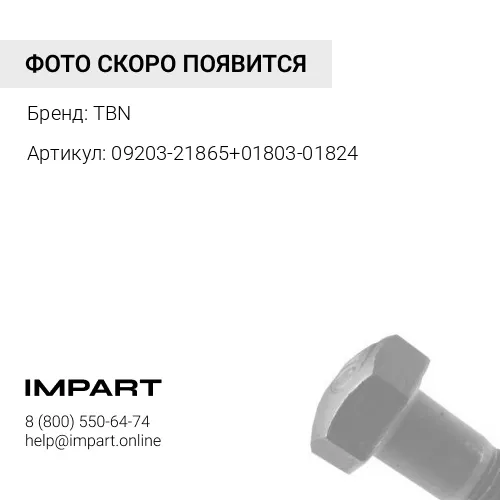 09203-21865+01803-01824 Болт+гайка сегмента M18x60 TBN