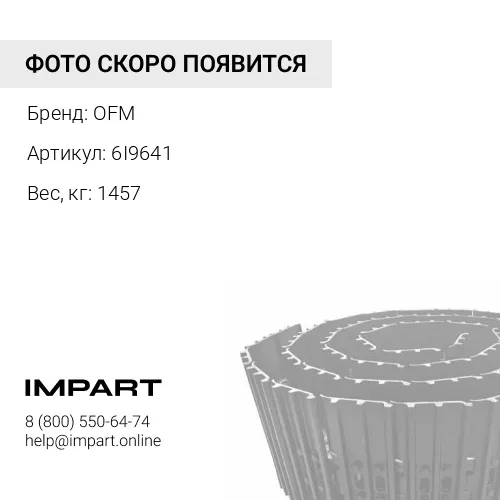 6I9641 ГУСЕНИЦА В СБОРЕ