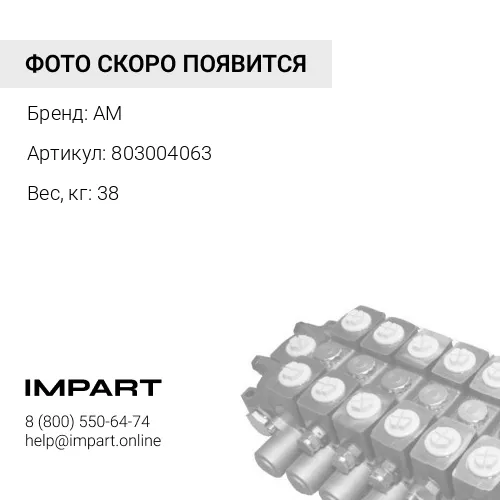 803004063 Насос гидравлический AM