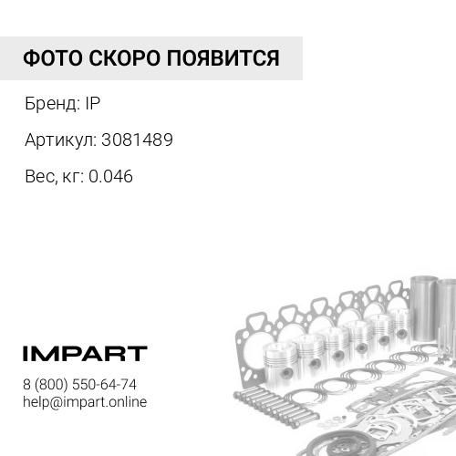 3081489 Комплект резинок IP
