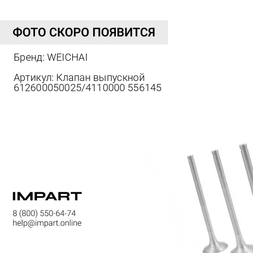 612600050025 Клапан выпускной 612600050025/4110000556145 WEICHAI