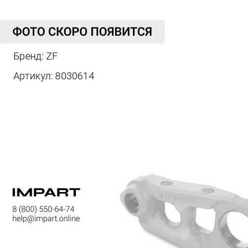 8030614 8030614 Гайка колесная TEREX ZF