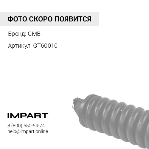 GT60010 Ролик натяжителя приводного ремня GMB GMB
