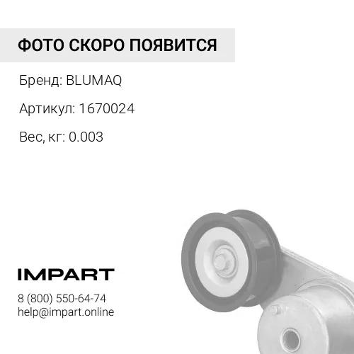 1670024 Сальник