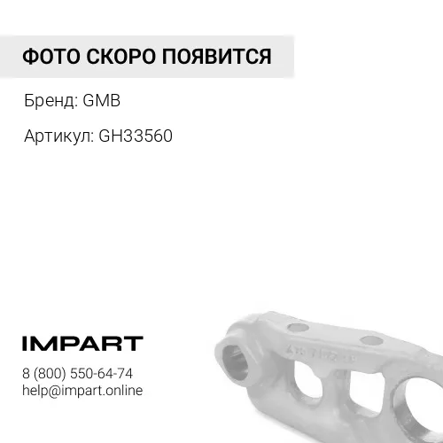 GH33560 Ступица колеса GMB