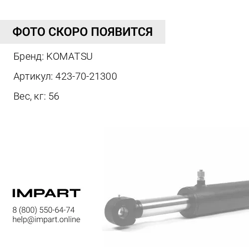 423-70-21300 ЦЕПЬ В СБОРЕ KOMATSU