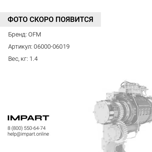 06000-06019 Подшипник OFM