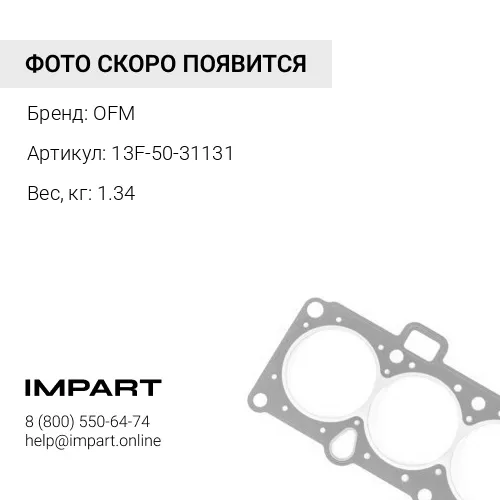 13F-50-31131 Втулка OFM