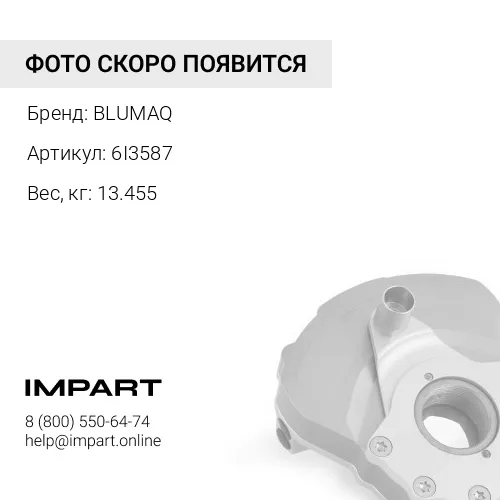 6I3587 Демпфер
