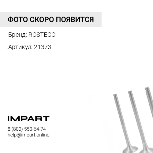 21373 21373_Колпачок маслосъемный Hyundai Solaris, Elantra выпускной 8 шт. ROSTECO
