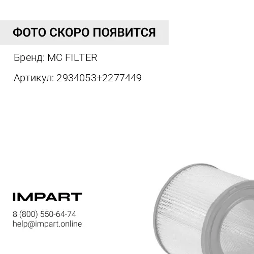 2934053+2277449 Фильтр воздушный