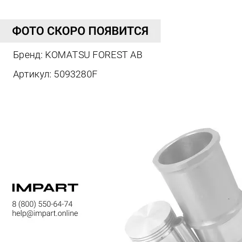 5093280F Поршень