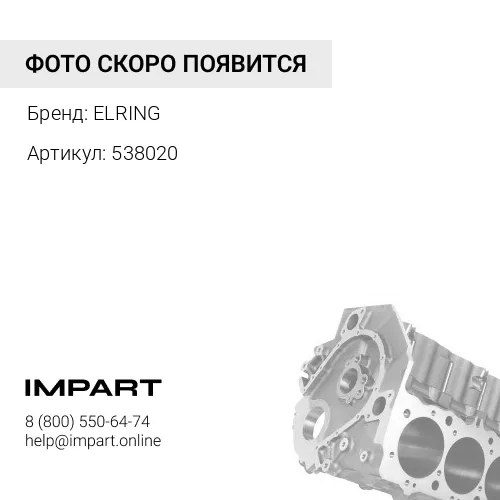 538020 538.020E_заглушка блока цилиндров\ BMW ELRING