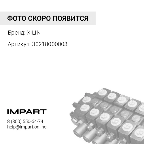30218000003 30218000003 Насос гидравлический CPD15W XILIN