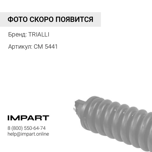 CM 5441 Натяжитель ремня (без ролика) TRIALLI