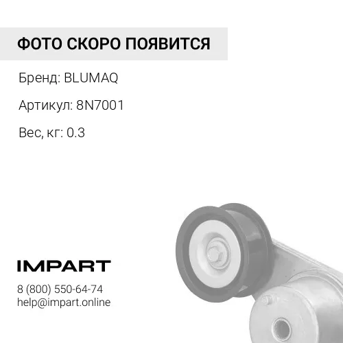 8N7001 Распылитель форсунки